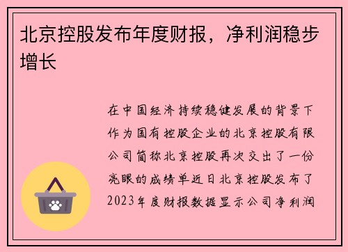 北京控股发布年度财报，净利润稳步增长